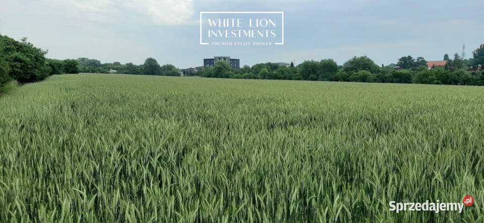 Grunt 87182 metry Kalisz kanalizacja