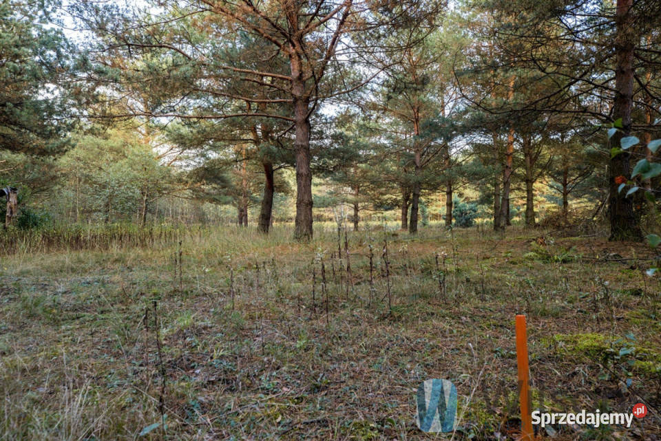 sprzedaży gruntu Czosnów 3000m2