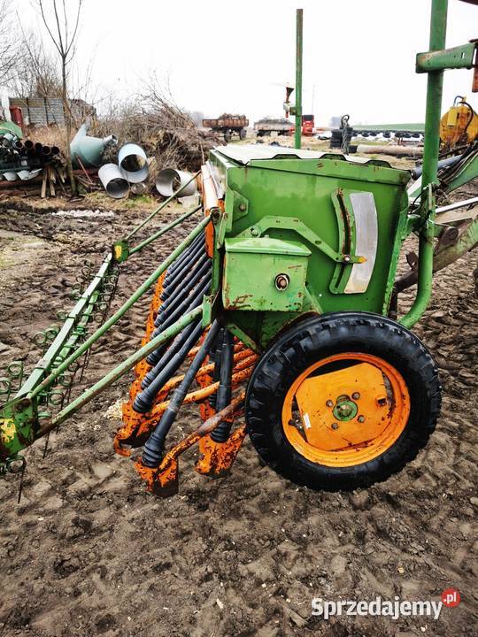Siewnik Amazone D8 Special 3m wielkopolskie