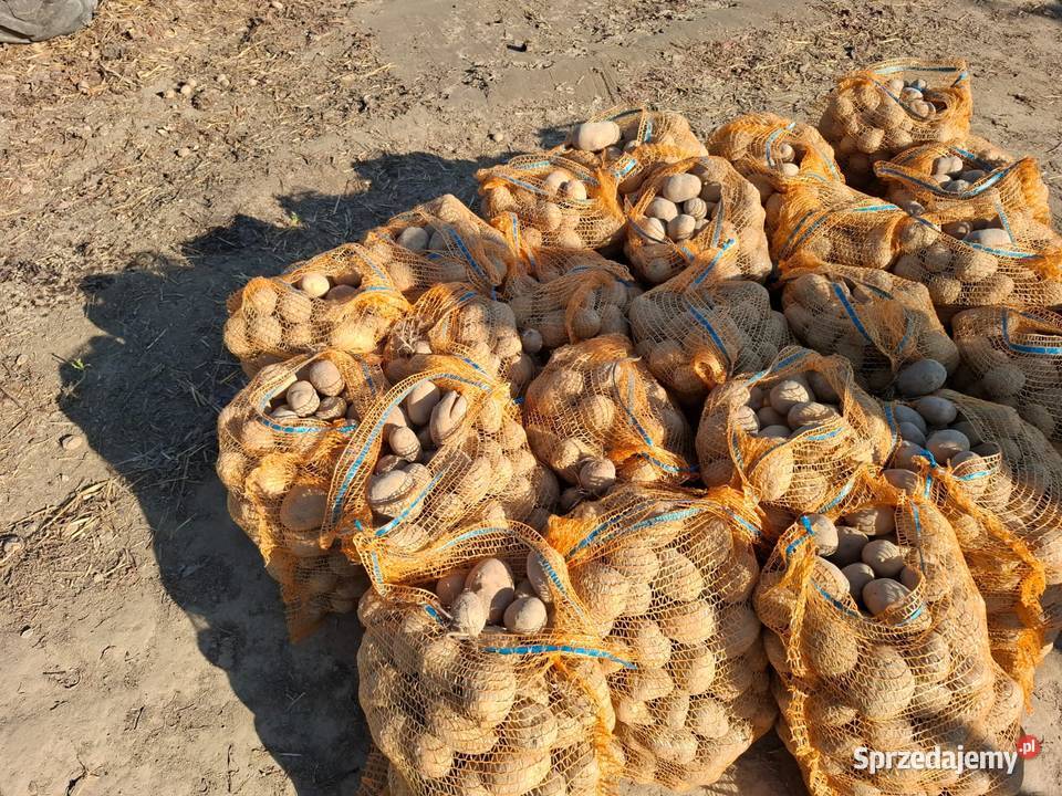 sortownik do ziemniaków czyszczarka do Lublin