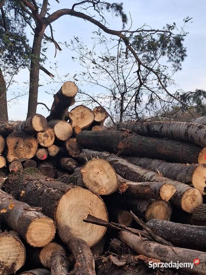 Sprzedam drewno opałowe łódzkie Zgierz
