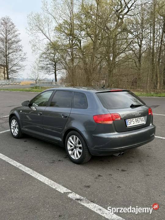Audi A3 8P Sportback 14TFSI Pszczyna