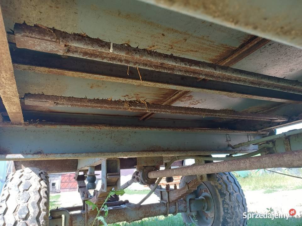 Rozrzutnik obornika czarna białostocka Łapy