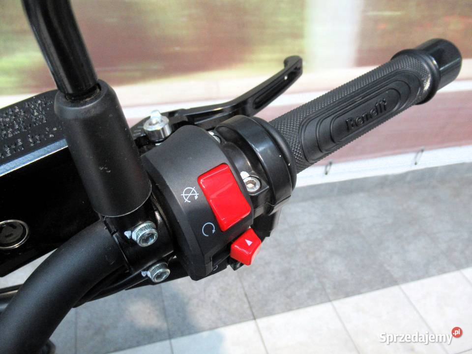 Benelli Leoncino 500 2022 A2 Kutno