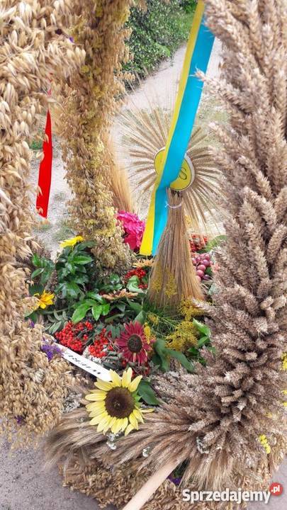 Wieniec Dożynkowy 2017 wielkopolskie