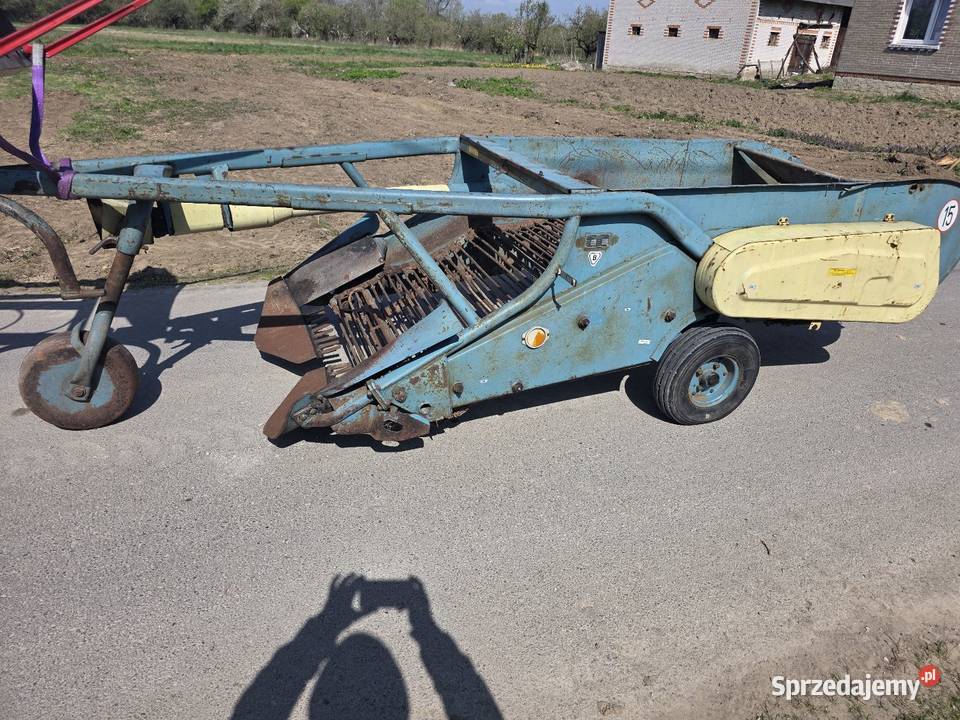 Kopaczka elewatorowa dwurzedowa do ziemniakow świętokrzyskie Samborzec