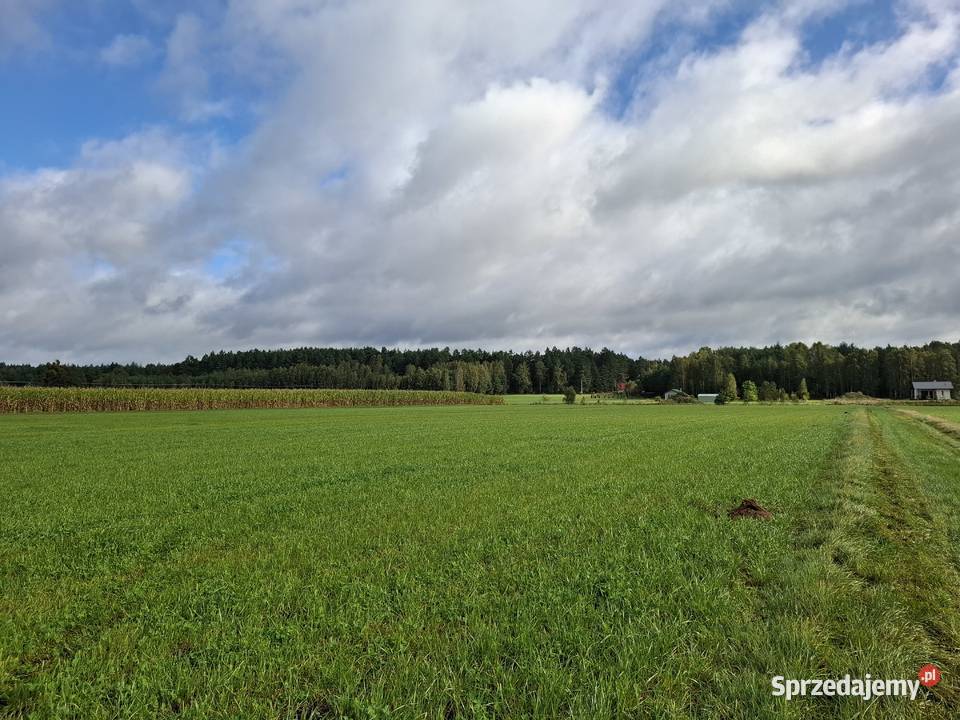 DZIAŁKA BUDOWLANA ŁĄŻEK KOŁO TLENIA BORY