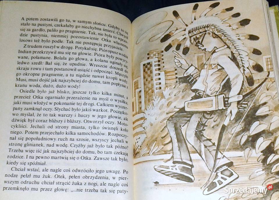 Indianin w okularach Hildegard Schumacher Pozostałe Chełm