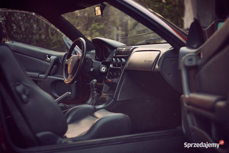 Alfa Romeo GTV 20 V6 Turbo Słonecznik