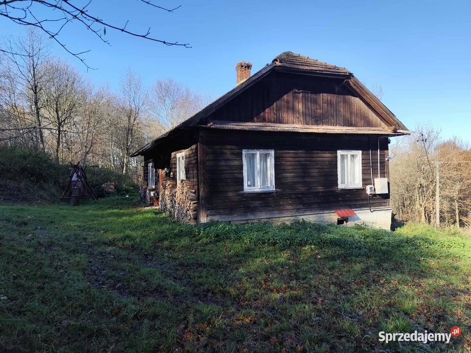 Siedlisko w lesie Nieruchomości Domaradz