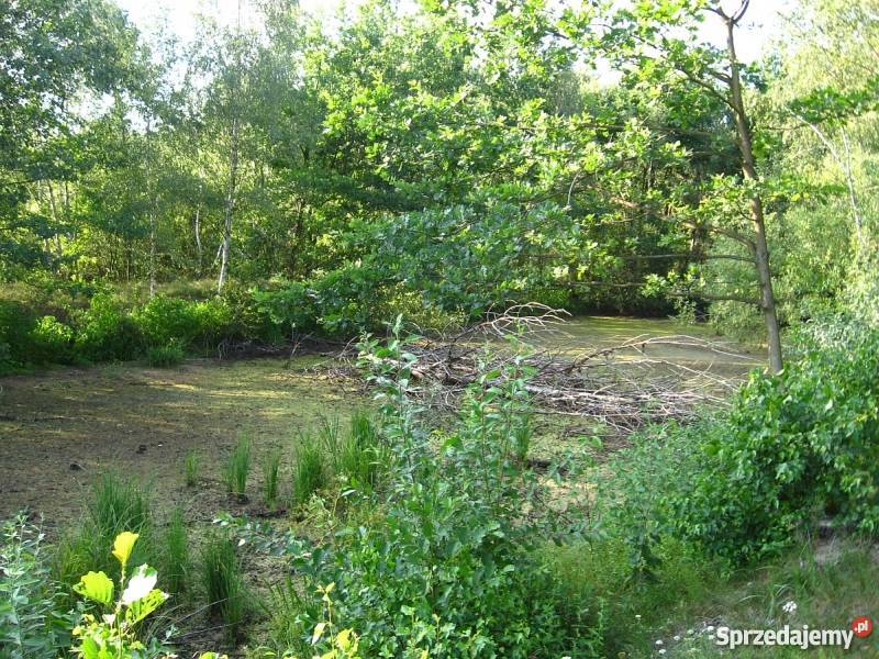 Sprzedam Dom Piasek Wielki blacha świętokrzyskie Piasek Wielki sprzedam