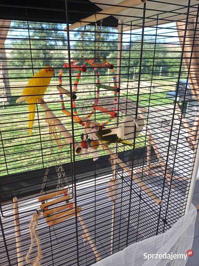 Sprzedam klatkę z papugami sprzedam