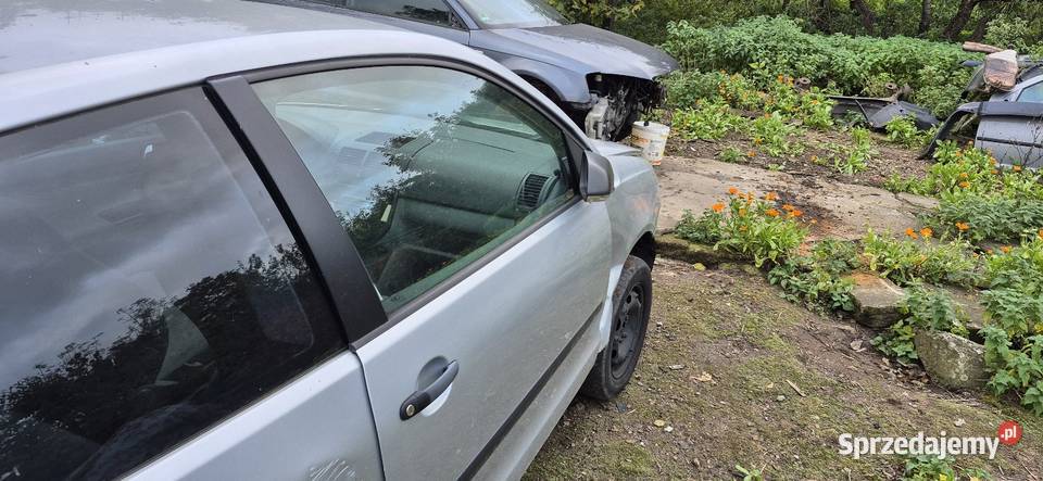 Drzwi prawe Vw Polo 9N LA7W Słupsk