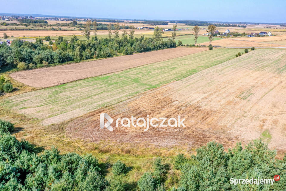 sprzedaży gruntu 9632m2 Łebcz Dr Augusta