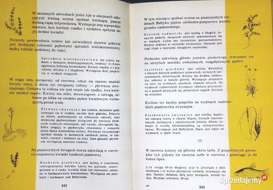 Kalendarz przyrody Henryk Sandner Zdzisława Chełm