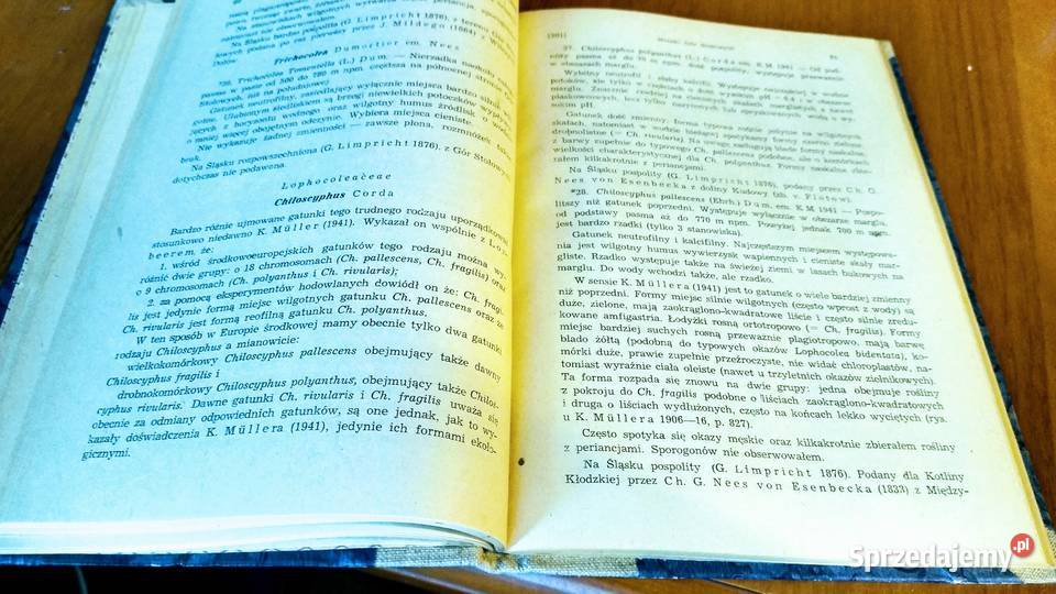 Mszaki Gór Stołowych Cz 1 Wątrobowce Hepaticae pomorskie Gdańsk