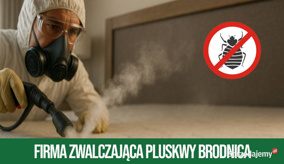Zwalczanie pluskiew Brodnica Odpluskwianie