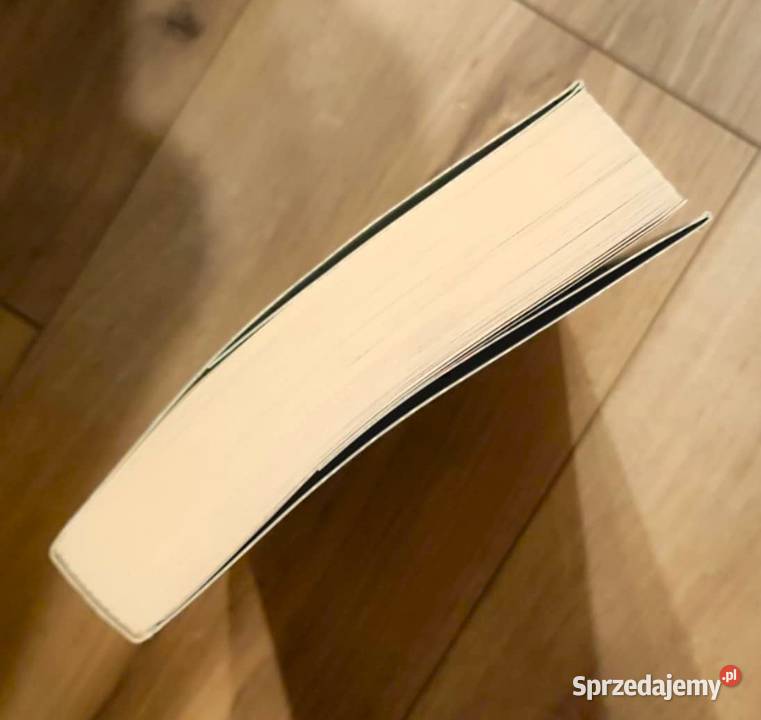 Magdalena Kubasiewicz Wigilijny pech społeczno-obyczajowe Ciechocinek