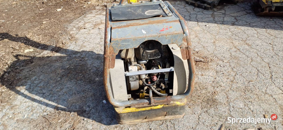 Zagęszczarka WACKER NEUSON DPU 6555 2015 r 230 Izabelin