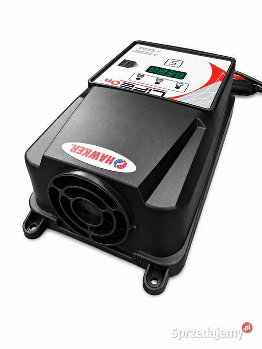Prostownik Ładowarka 12v 24v 36v 48v Melex Ezgo sprzedam