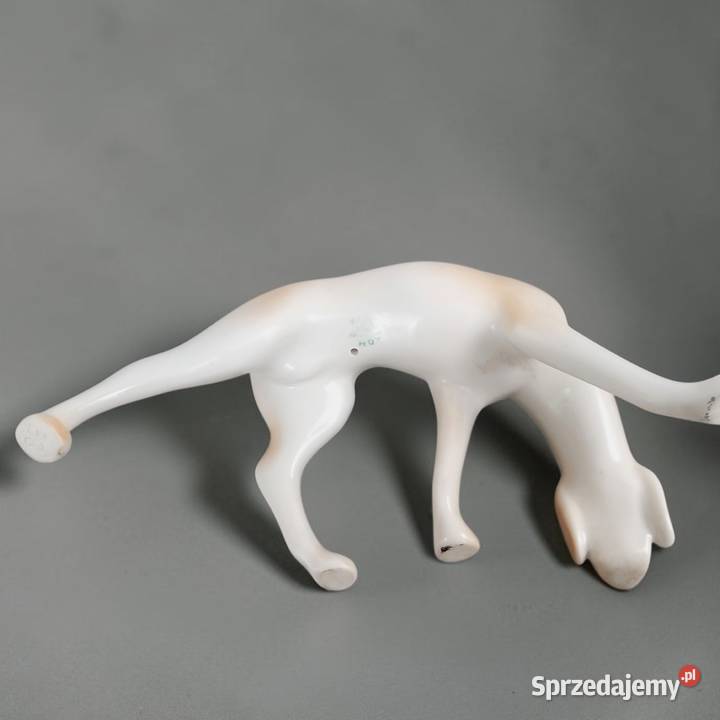 Pies wyżeł krótkowłosy Aurl Kldor porcelana Bronisze