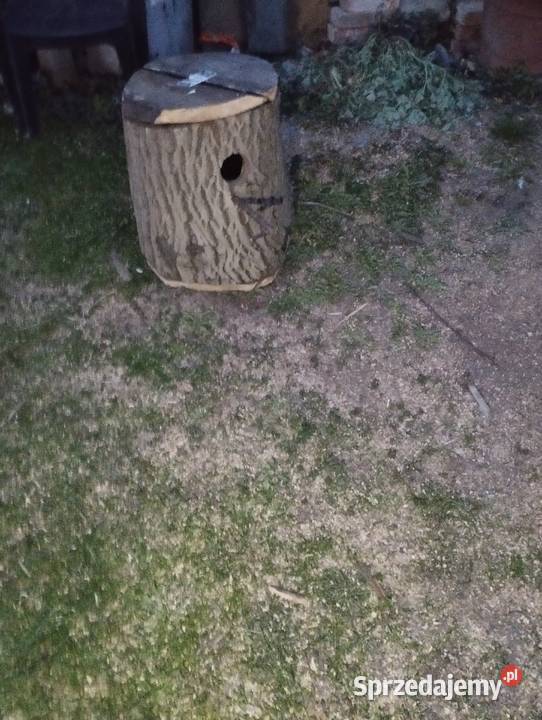 Duża budka lęgowa podkarpackie Gniewczyna Łańcucka