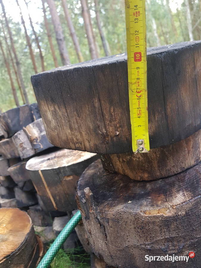 Buk wyprzedaz sezonowany 3 lata Opał Płońsk