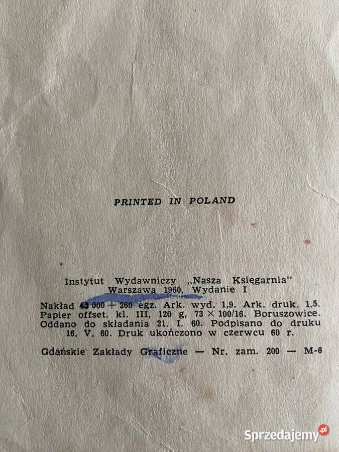 Tajemniczy Kajecik Bohdan Drozdowski ilustrował Błażejowice