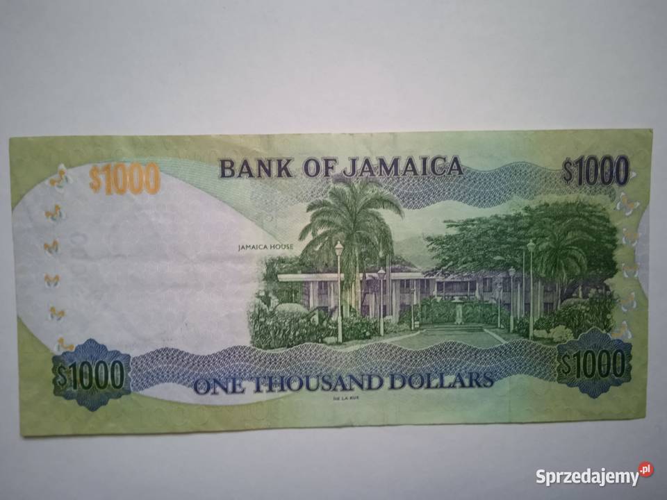 Jamajka 1000 01062015 Zabrze