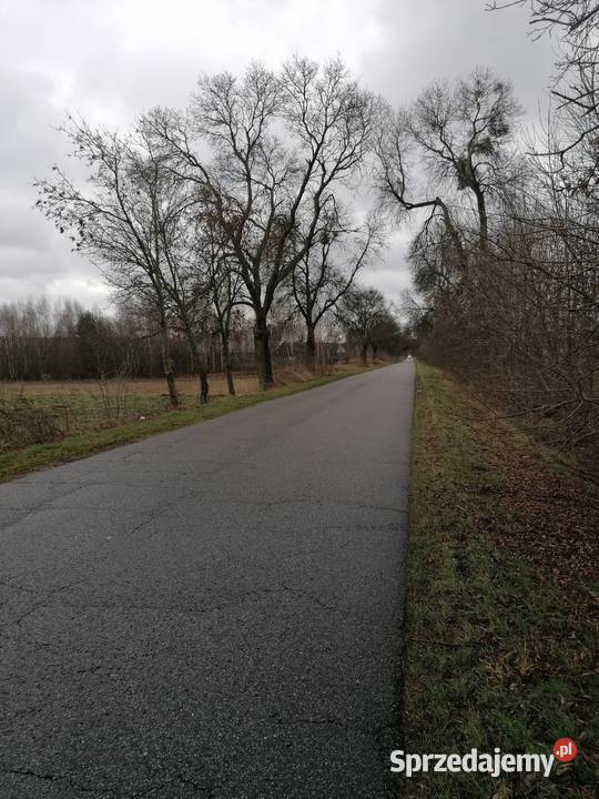 Działka budowlana 1600 mkw łódzkie Koziołki