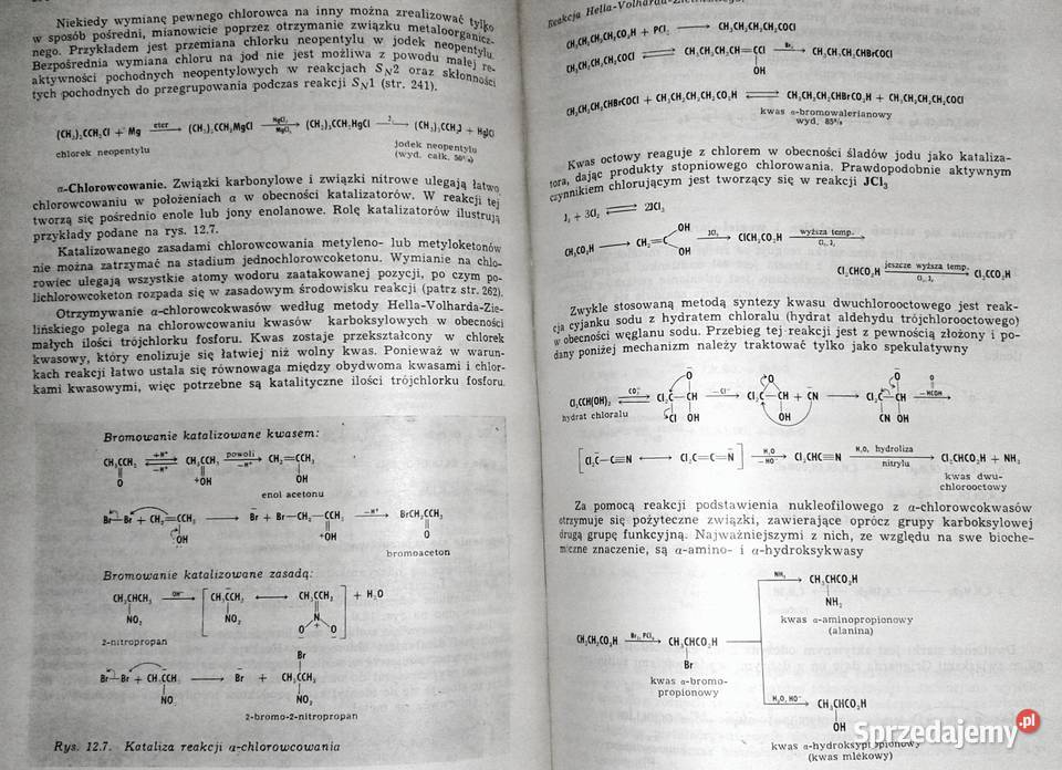 Chemia organiczna D J Cram G S Hammond Chełm