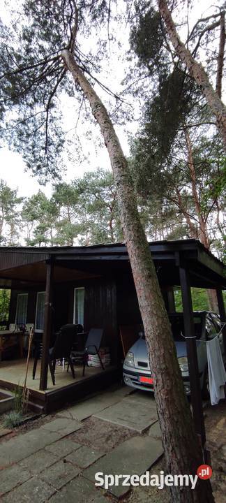 Działka jeziorem Dymaczewo Nowe Własnościowa drewniane