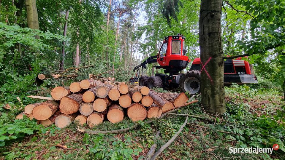 WYCINKA DRZEW ODKUP DREWNA DOKUMENTACJA Woodfast