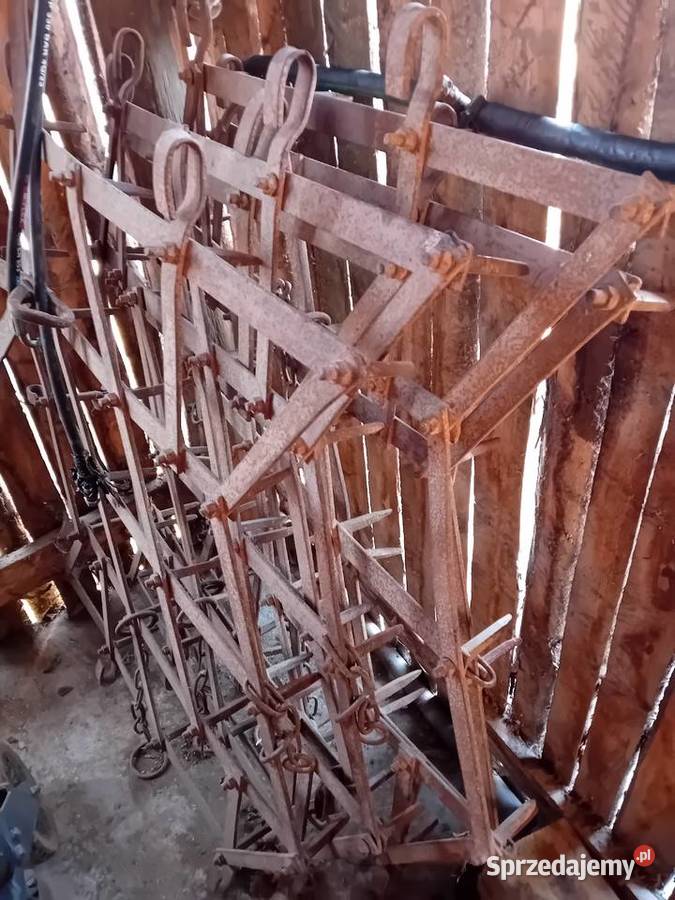 Sprzedam brony 5 Grudno