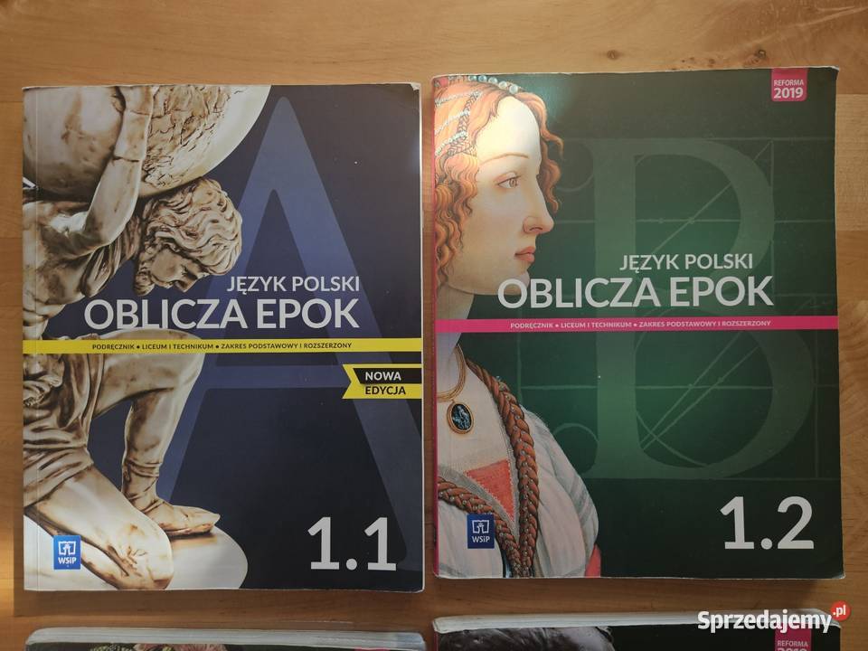 Podręcznik oblicza epok liceum technikum Podręczniki łódzkie Zduńska Wola