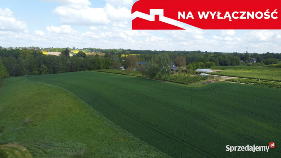 Działka 215 ha z potencjałem koło Nałęczowa Sprzedaż Chruszczów-Kolonia