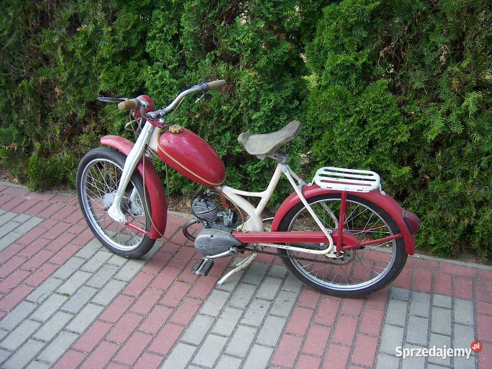 komar sztywniak Polski PRL Goleniów