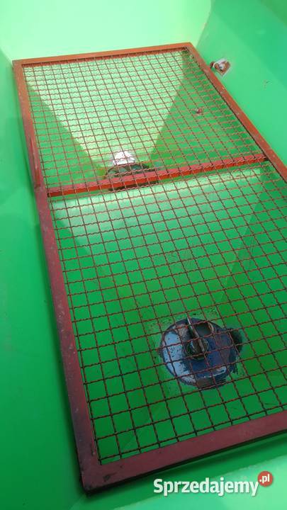 Rozsiewacz nawozu 800l lubelskie Zamość