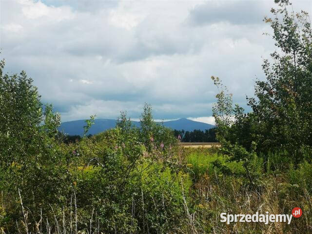 sprzedaży gruntu Kromnów 1556m2