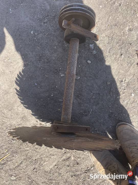 Trajzega Piły tarczowe Skierniewice