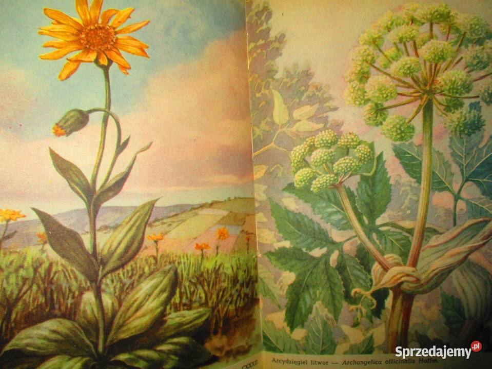 Klucz do oznaczania sproszkowanych surowców Łódź