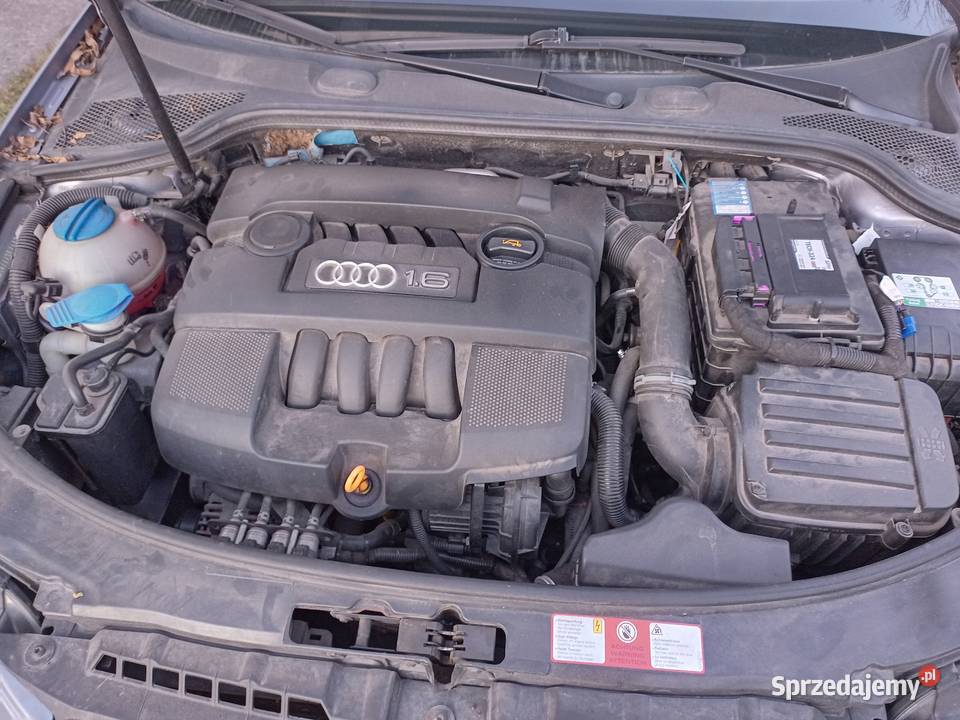 Sprzedam Audi a3 8p 16 benzyna LPG Tomaszów Lubelski sprzedam