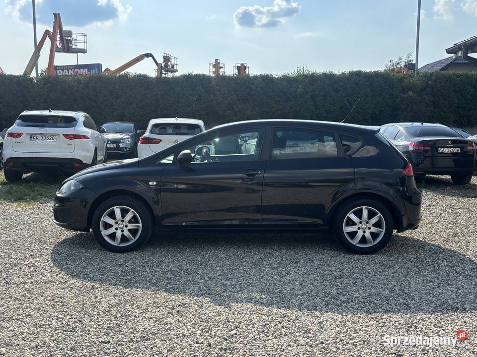 Seat Leon Paniówki