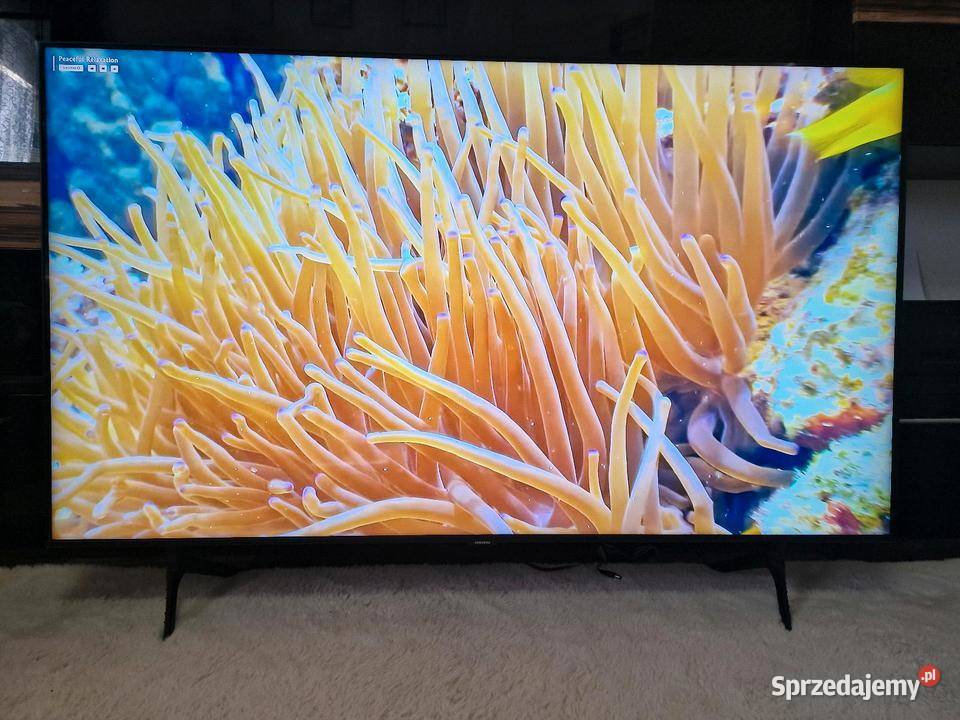 TV Samsung 55 Gdańsk
