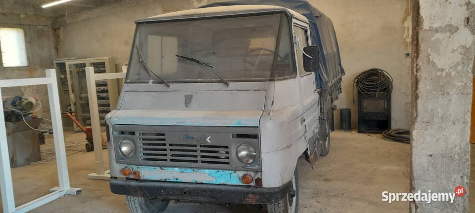 TARPANY ŻUK 70KM Malbork