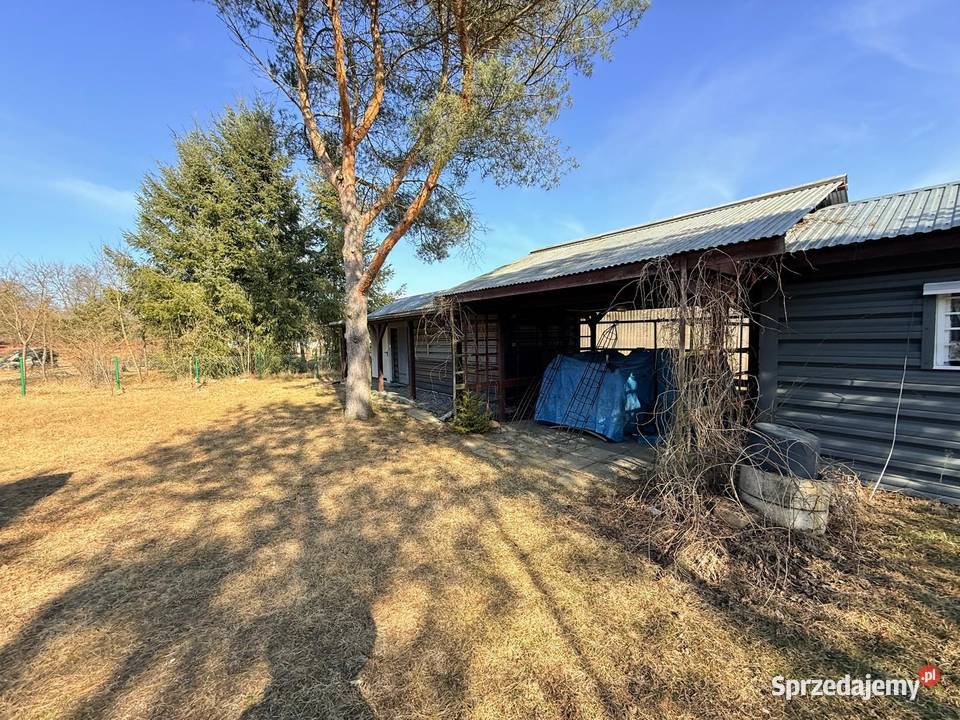 Całoroczny dom jeziorem Danków pow 90m2 Sprzedaż lubuskie sprzedam