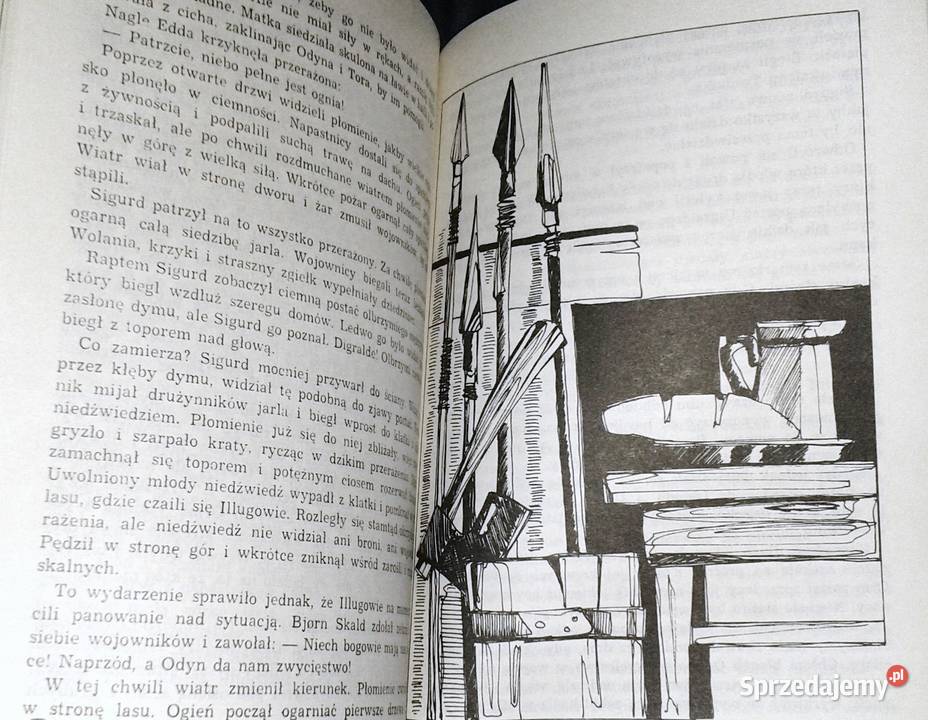 Sigurd syn wikinga Torill Thorstad Hauger Chełm