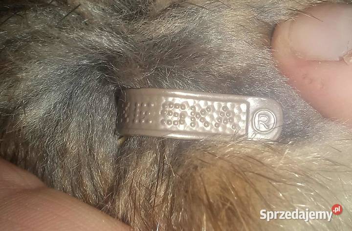 Piękne zadbane Futro naturalne Namysłów