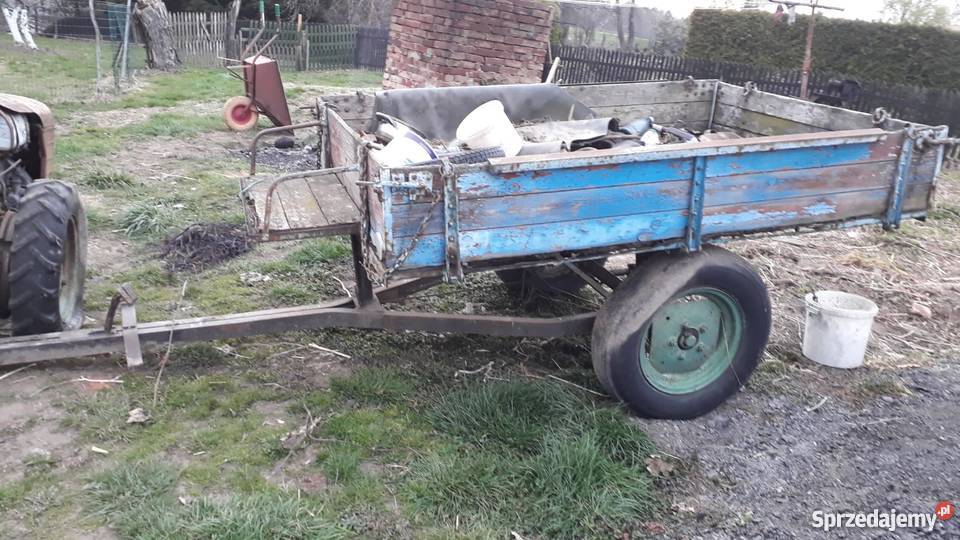 Dzik z przyczepką nieuszkodzony Ciągniki Głubczyce