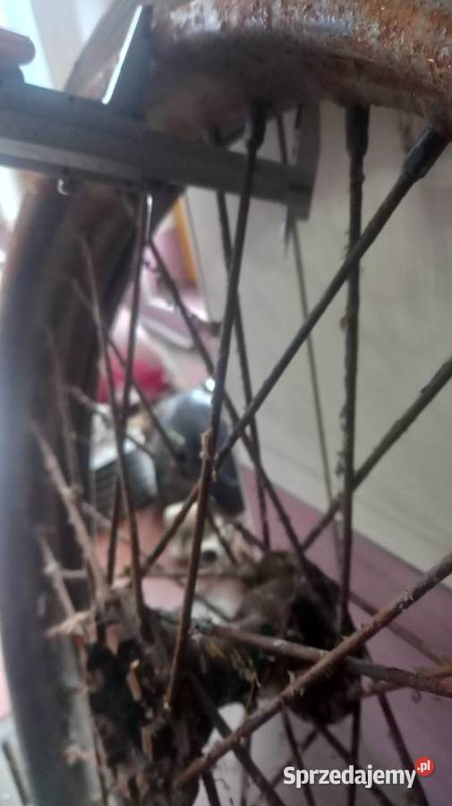 Koło 30019 Triumph Standart TWN Victoria Perak Siemiatycze